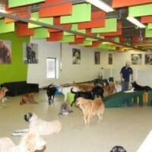 24_3_additional image.jpg image